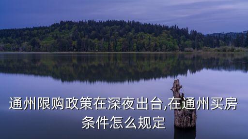 通州限購(gòu)政策在深夜出臺(tái),在通州買房條件怎么規(guī)定