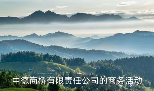 第八屆中國企業(yè)跨國投資研討會(huì)
