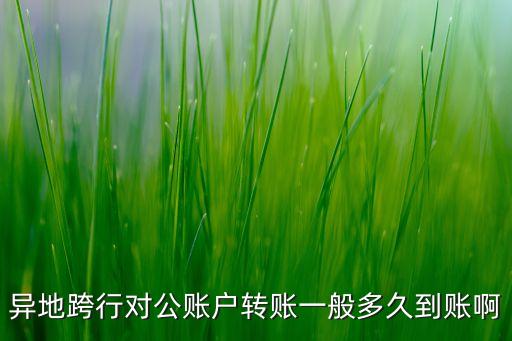 異地跨行對(duì)公賬戶轉(zhuǎn)賬一般多久到賬啊