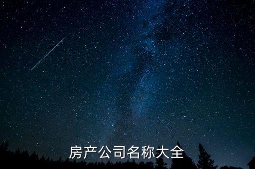 房產(chǎn)公司名稱(chēng)大全