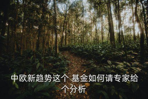  中歐新趨勢(shì)這個(gè) 基金如何請(qǐng)專家給個(gè)分析