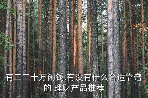 有二三十萬閑錢,有沒有什么合適靠譜的 理財產品推薦