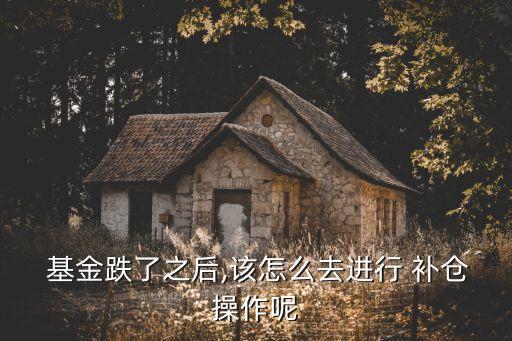 基金何時補(bǔ)倉,基金補(bǔ)倉是什么意思啊