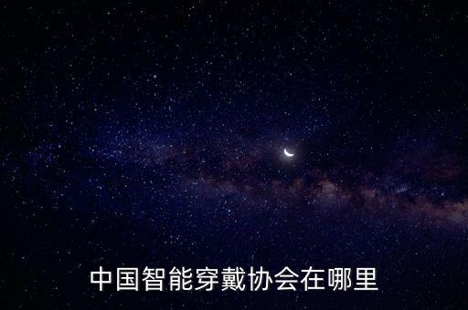 藍(lán)海國際控股有限公司,深圳中電藍(lán)海控股有限公司副總經(jīng)理