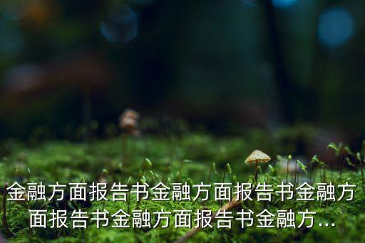 金融方面報(bào)告書(shū)金融方面報(bào)告書(shū)金融方面報(bào)告書(shū)金融方面報(bào)告書(shū)金融方...