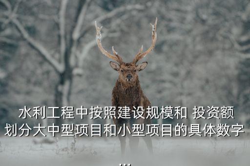  水利工程中按照建設(shè)規(guī)模和 投資額劃分大中型項目和小型項目的具體數(shù)字...