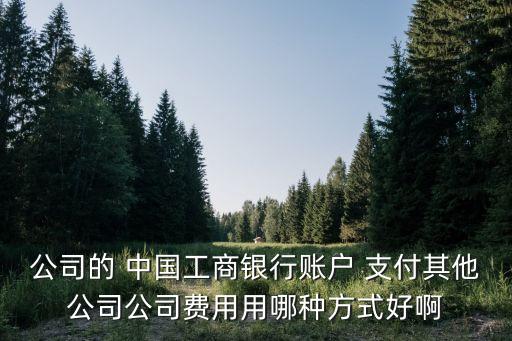 公司的 中國工商銀行賬戶 支付其他公司公司費用用哪種方式好啊