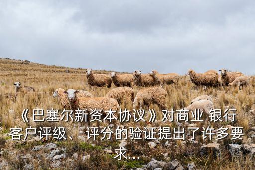 《巴塞爾新資本協(xié)議》對商業(yè) 銀行 客戶評級、 評分的驗(yàn)證提出了許多要求...