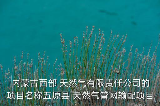  內蒙古西部 天然氣有限責任公司的項目名稱五原縣 天然氣管網(wǎng)輸配項目