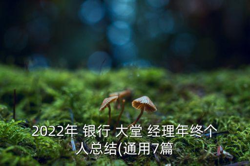 2022年 銀行 大堂 經理年終個人總結(通用7篇