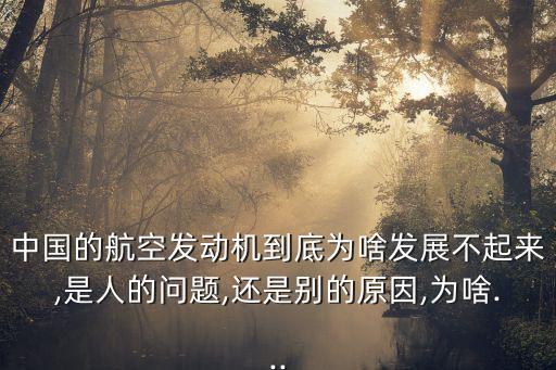 中國(guó)的航空發(fā)動(dòng)機(jī)到底為啥發(fā)展不起來(lái),是人的問(wèn)題,還是別的原因,為啥...