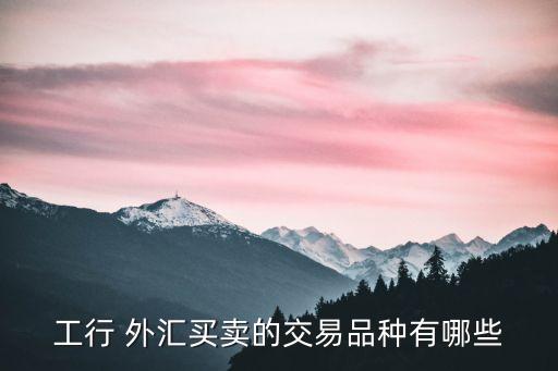 工商銀行外匯市場(chǎng)行情,6001398工商銀行行情