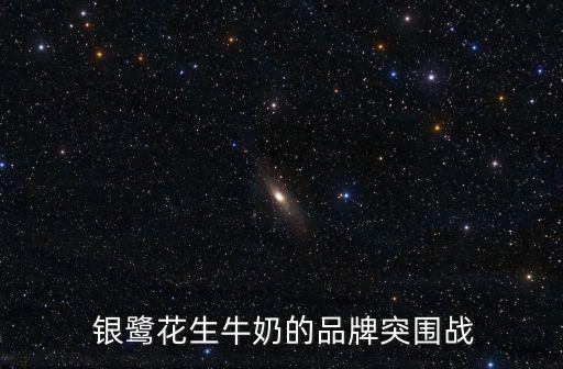  銀鷺花生牛奶的品牌突圍戰(zhàn)