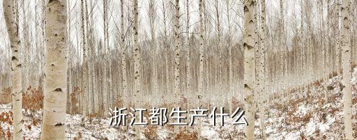 浙江都生產(chǎn)什么