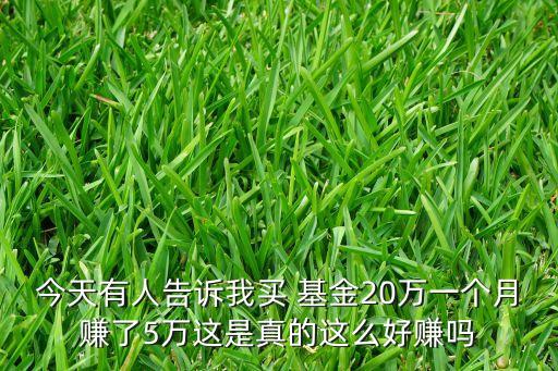 博時(shí)基金回報(bào)率,莫名其妙買(mǎi)了博時(shí)基金