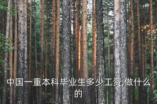 中國(guó)一重本科畢業(yè)生多少工資,做什么的