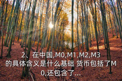 2、在中國(guó),M0,M1,M2,M3的具體含義是什么基礎(chǔ) 貨幣包括了M0,還包含了...