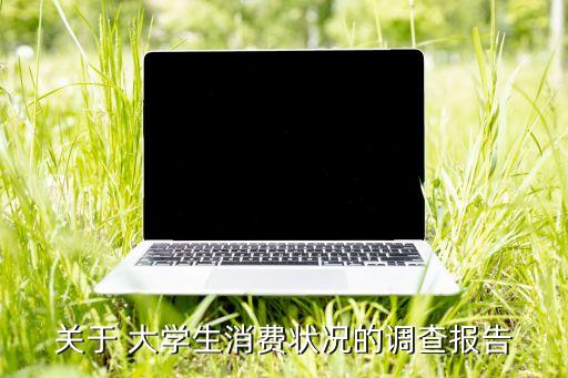 關(guān)于 大學(xué)生消費(fèi)狀況的調(diào)查報(bào)告