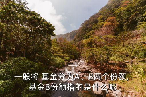 分級基金杠桿率,基金杠桿率的計(jì)算公式