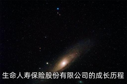 生命人壽保險(xiǎn)股份有限公司的成長歷程
