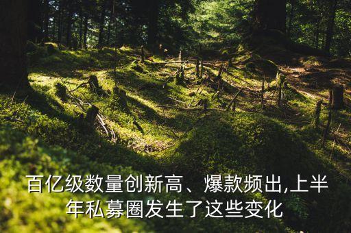  百億級(jí)數(shù)量創(chuàng)新高、爆款頻出,上半年私募圈發(fā)生了這些變化