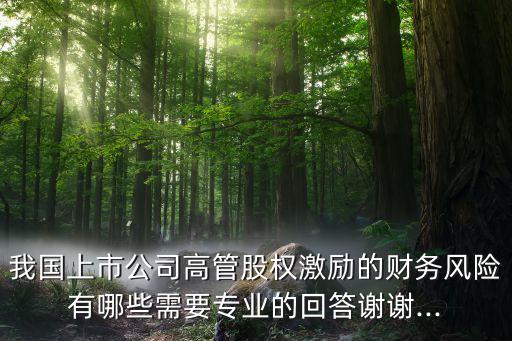 我國上市公司高管股權(quán)激勵(lì)的財(cái)務(wù)風(fēng)險(xiǎn)有哪些需要專業(yè)的回答謝謝...
