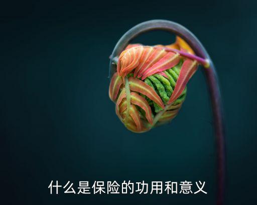 什么是保險的功用和意義