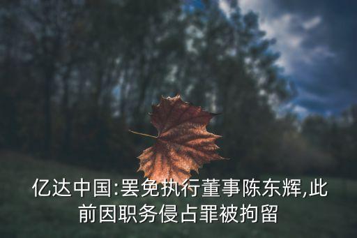  億達中國:罷免執(zhí)行董事陳東輝,此前因職務(wù)侵占罪被拘留