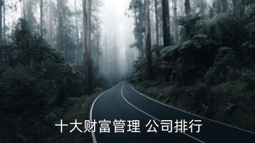  十大財富管理 公司排行