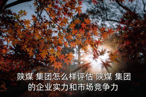  陜煤 集團(tuán)怎么樣評估 陜煤 集團(tuán)的企業(yè)實力和市場競爭力