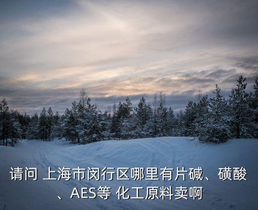 請(qǐng)問(wèn) 上海市閔行區(qū)哪里有片堿、磺酸、AES等 化工原料賣啊