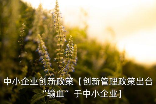 中小企業(yè)創(chuàng)新政策【創(chuàng)新管理政策出臺(tái)“輸血”于中小企業(yè)】