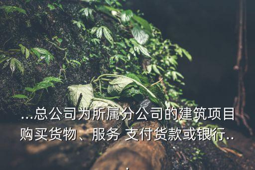 ...總公司為所屬分公司的建筑項目購買貨物、服務(wù) 支付貨款或銀行...