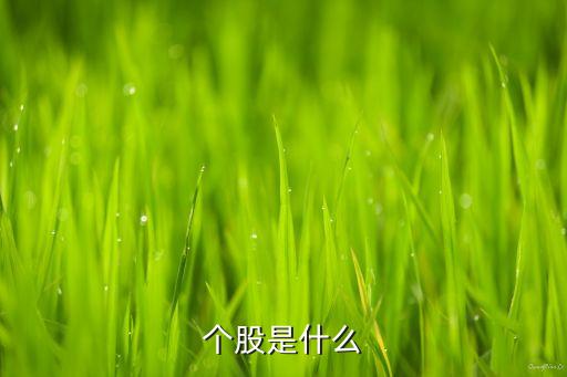 股票的不可償還性,股票具有償還性嗎