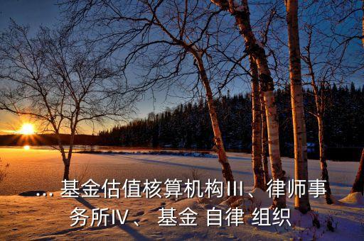 ... 基金估值核算機構(gòu)Ⅲ、律師事務(wù)所Ⅳ、 基金 自律 組織