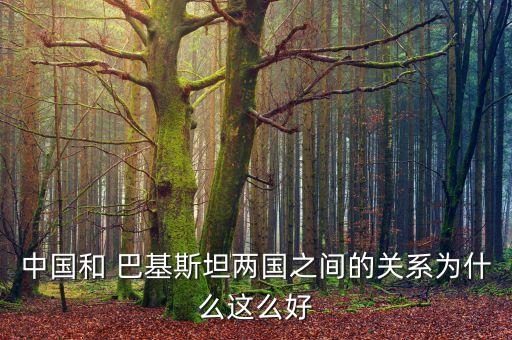 中國和 巴基斯坦兩國之間的關系為什么這么好