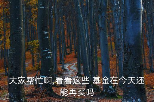 大家?guī)兔Π?看看這些 基金在今天還能再買(mǎi)嗎