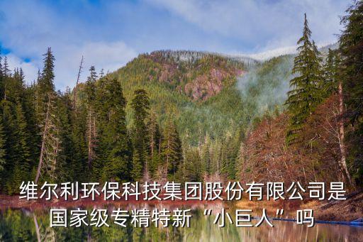  維爾利環(huán)?？萍技瘓F(tuán)股份有限公司是國家級專精特新“小巨人”嗎