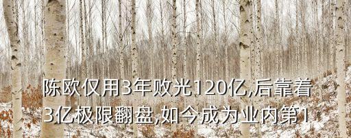  陳歐僅用3年敗光120億,后靠著3億極限翻盤,如今成為業(yè)內(nèi)第1