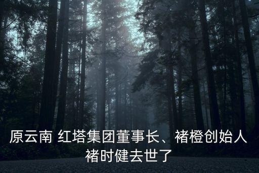原云南 紅塔集團(tuán)董事長、褚橙創(chuàng)始人褚時(shí)健去世了
