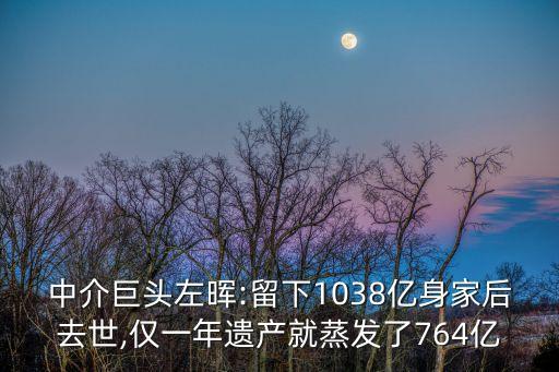 中介巨頭左暉:留下1038億身家后去世,僅一年遺產就蒸發(fā)了764億