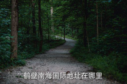 鶴壁南海國際地址在哪里