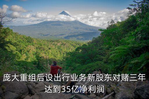 龐大重組后設出行業(yè)務新股東對賭三年達到35億凈利潤