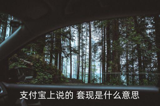 支付寶上說(shuō)的 套現(xiàn)是什么意思