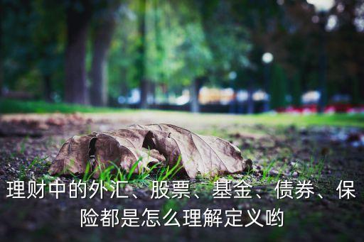理財(cái)中的外匯、股票、基金、債券、保險(xiǎn)都是怎么理解定義喲