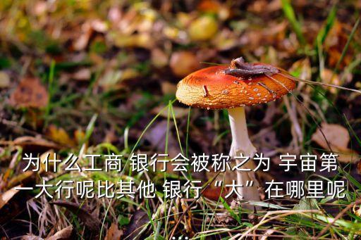 為什么工商 銀行會被稱之為 宇宙第一大行呢比其他 銀行“大”在哪里呢...
