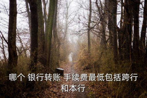 哪個(gè) 銀行轉(zhuǎn)賬 手續(xù)費(fèi)最低包括跨行和本行