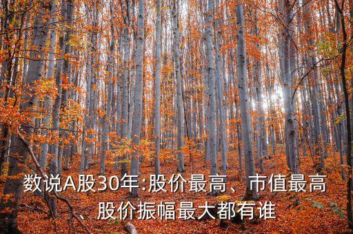 數說A股30年:股價最高、市值最高、股價振幅最大都有誰