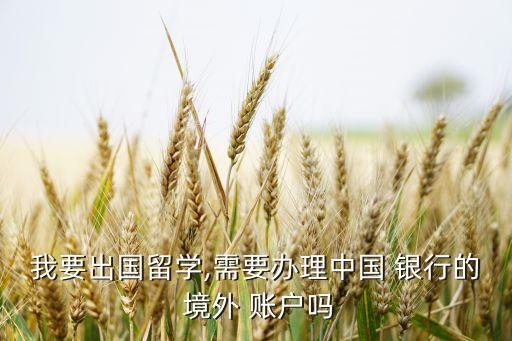 我要出國留學(xué),需要辦理中國 銀行的 境外 賬戶嗎
