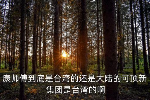 頂新集團(tuán)董事長(zhǎng)被判刑,頂新國際集團(tuán)董事長(zhǎng)是誰